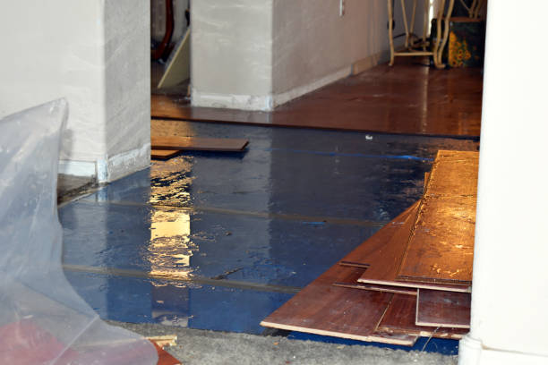 Professional Burst Pipe Cleanup technician working in Nicholson, MS